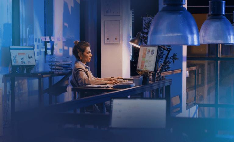 sustentação netsuite