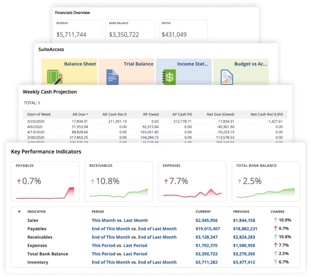 Painéis do Oracle NetSuite ERP em nuvem